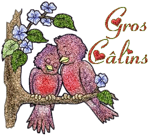 Câlin